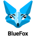 BlueFox Robot. Code to Grow.