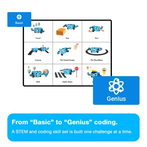 From Basic to Genius